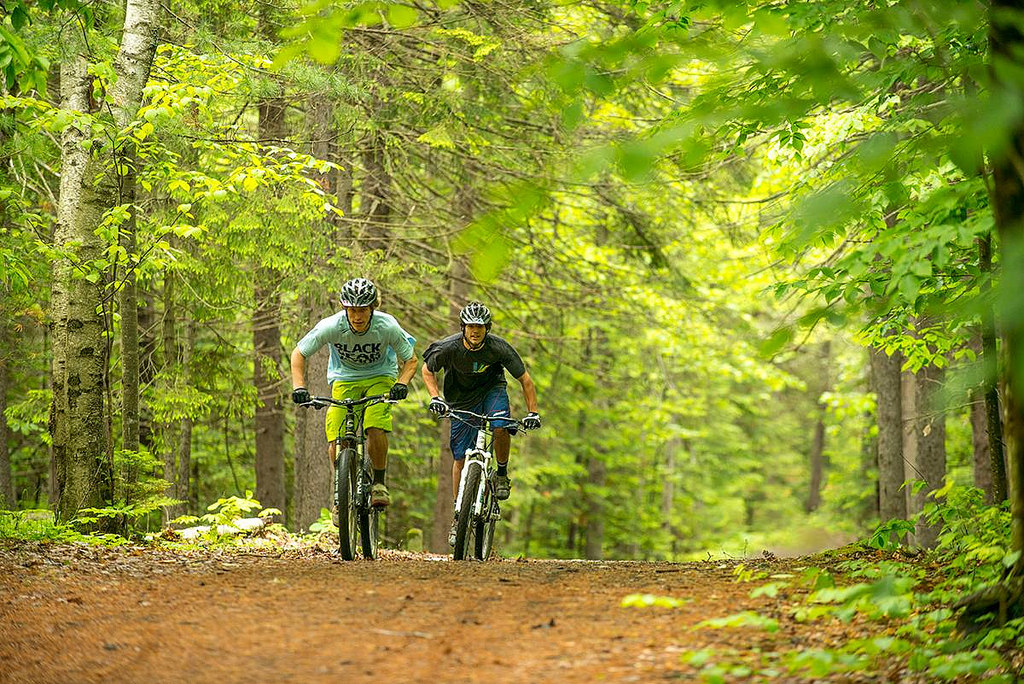 bicyclists on trail photo